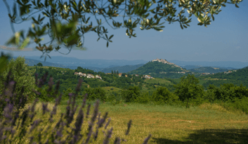 bicycle cruise Istria - Cycle Croatia