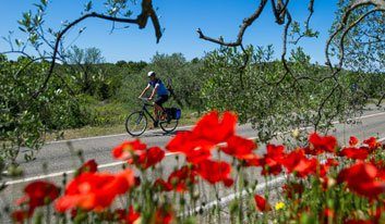 Bicycle Cruise Pearls of Dalmatia - Cycle Croatia