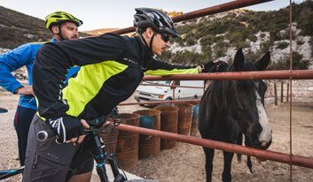 Cyclists at horse farm in Dalmatia in Croatia